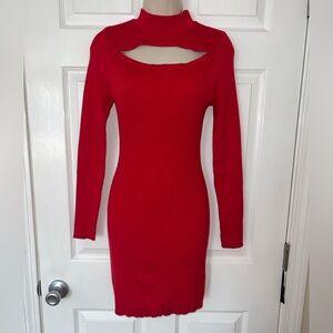 Long sleeve turtleneck sweater dress